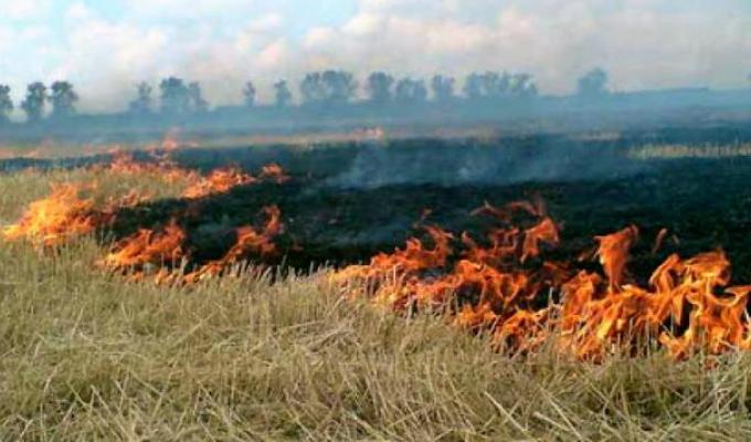 План протидії пожежам затвердили на штабі ДСНС