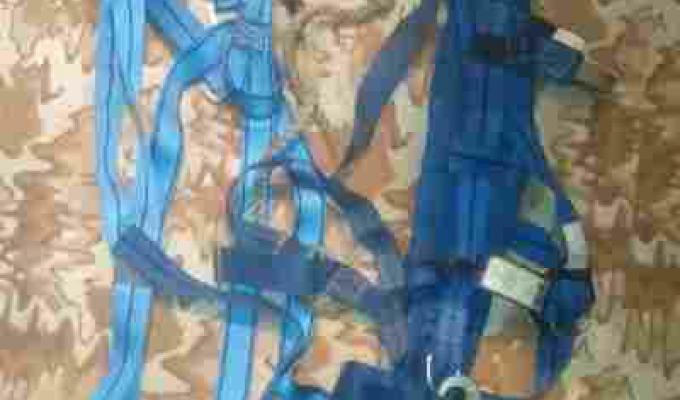 На Луганщині засуджено підривника мосту через Сіверський Донець