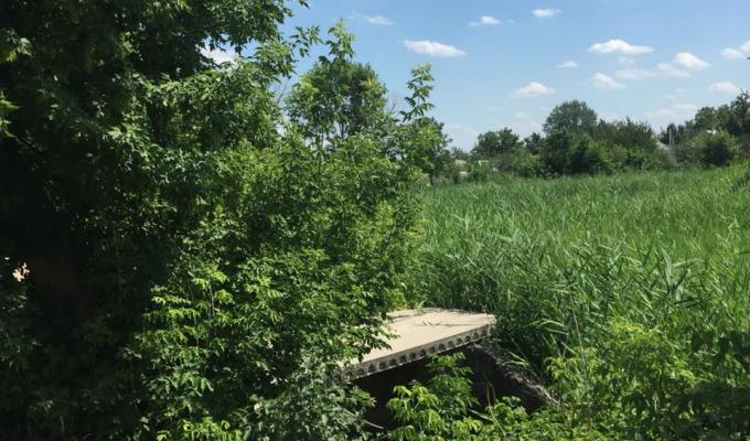 На Луганщині СБУ виявила схрон із засобами ураження