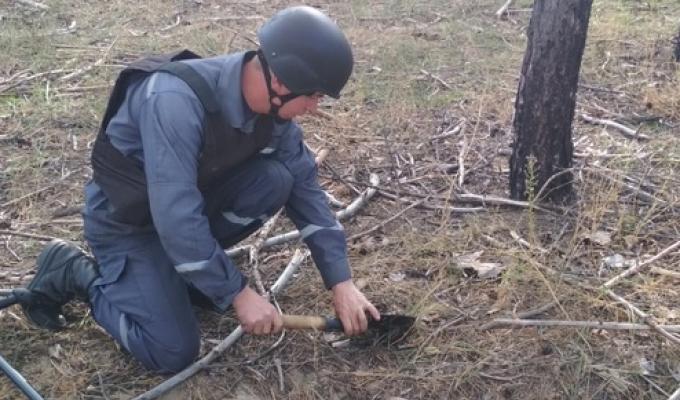 Піротехніками на Луганщині вилучено 31 одиницю вибухонебезпечних предметів