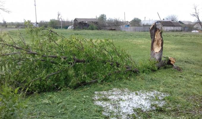 На Луганщині ліквідують наслідки негоди: найбільше постраждав Новоайдарський район