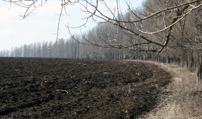 В області стартують весняно-польові роботи