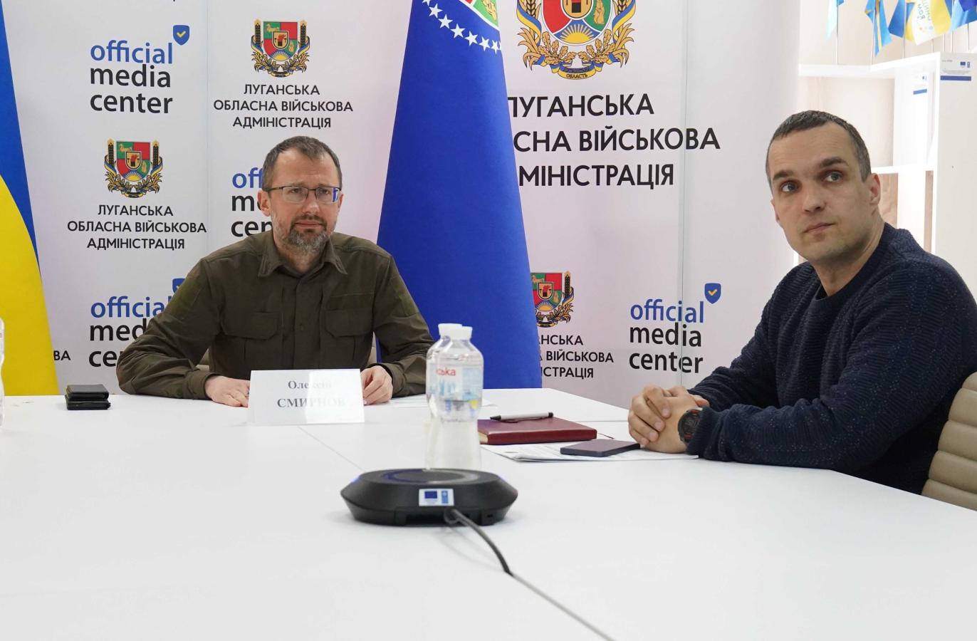 Місцеві програми підтримки працевлаштування ВПО представили Рубіжанська та Чмирівська громади