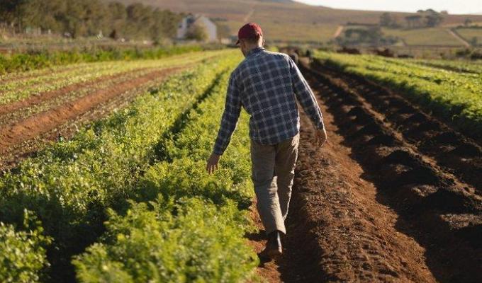 З 1 січня 2020 року сімейні фермерські господарства отримають додаткову фінансову підтримку