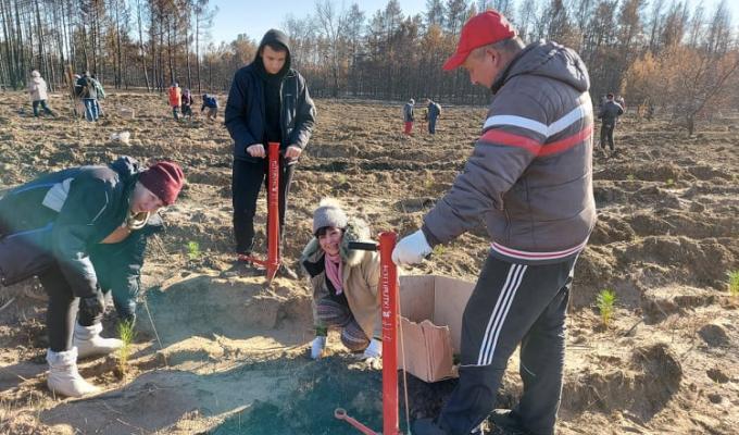 На Луганщині зашумить «Львівський гай»