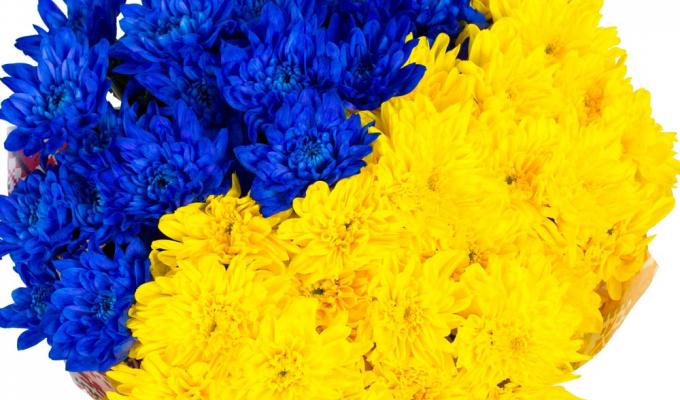 Медикам Луганщини присвоєні почесні звання