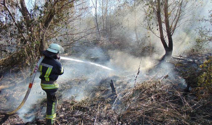 Локалізовано пожежу сухої трави та лісового масиву у Новоайдарському районі