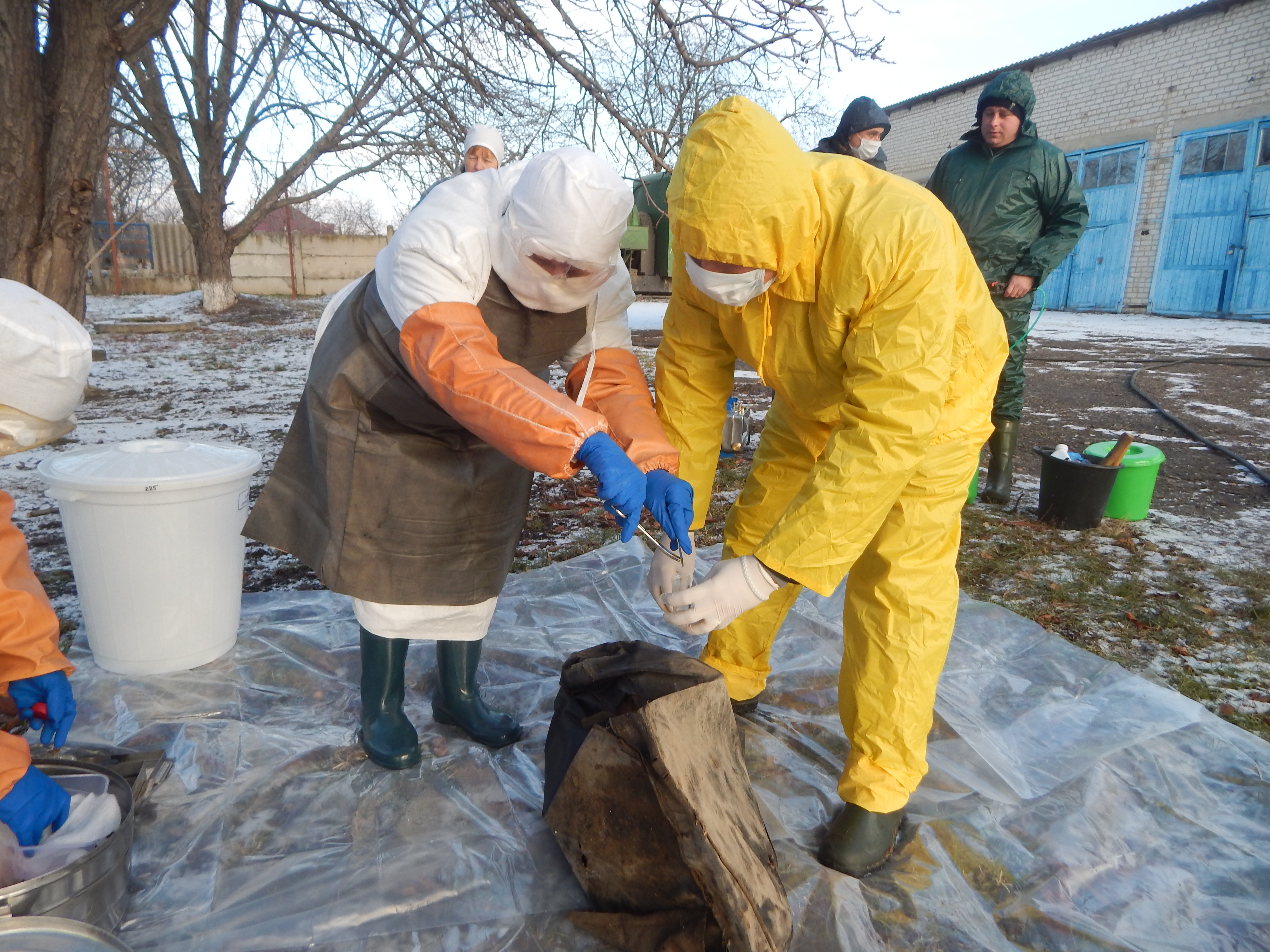 Проведено семінар-тренінгу щодо запобігання поширення АЧС 