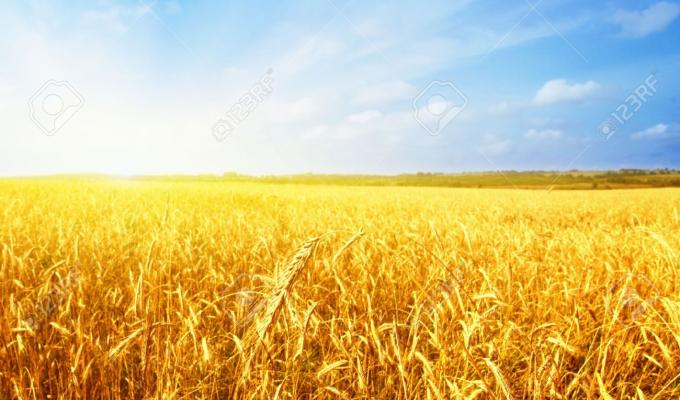 Верховна Рада України прийняла Закон щодо стимулювання створення та діяльності сімейних фермерських господарств