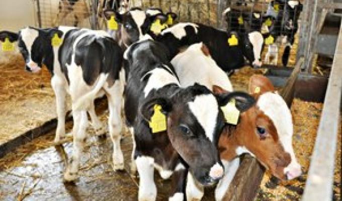 Майже 30 мільйонів допомоги за державними програмами цьогоріч отримали сільгоспвиробники Луганщини