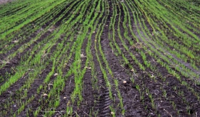 Аграрії Луганщини готуються до весняно-польових робіт 