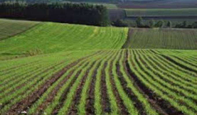 Тривають весняно-польові роботи 