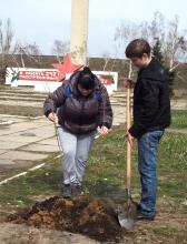 У Станично-Луганському районі 1 квітня стартувала акція «Дерево добра та миру»
