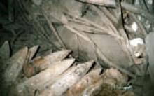 Відгуки Великої Вітчизняної