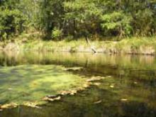 Перевірка місць масового відпочинку на водних об’єктах