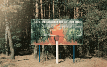 Лес наше богатство!