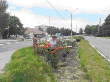 Взаємовигідна співпраця: у Троїцькому районі організовуються громадські роботи для незайнятого населення