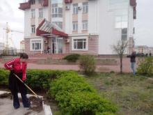 Майбутнє України в наших руках: Сєвєродонецьким міським центром зайнятості проведено акцію із благоустрою