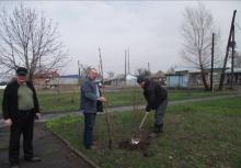 Кремінський районний центр зайнятості долучився до акції до Дня довкілля