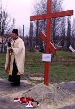 Скорбота серця