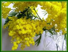 Відбулись урочисті збори з нагоди Міжнародного жіночого дня