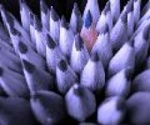 Відбулось засідання Громадської ради при обласній держадміністрації