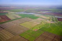 У Луганській області триває інформаційно-роз’яснювальна робота щодо проведення земельної реформи в Україні