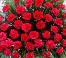 Луганщина відзначатиме 69-ту річницю  визволення від фашистських загарбників