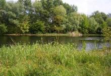 Круглий стіл, присвячений розвитку зеленого туризму в регіоні.