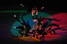 Академія мистецтв і Луганський цирк збере світових зірок циркового мистецтва на міжнародний фестиваль