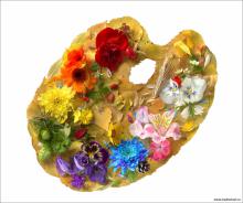 XVІ відкритий обласний фестиваль-конкурс дитячої творчості „Палітра - 2013”