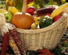 Агропромисловий комплекс Луганської області нарощує обсяги виробництва