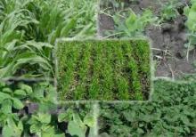 Проведення комплексу осінньо-польових робіт