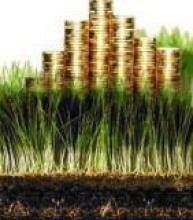 Виплата орендної плати власникам земельних часток (паїв)