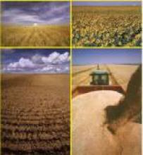 На совещании руководством облгосадминистрации были рассмотрены пути повышения эффективности использования земельного ресурса в регионе