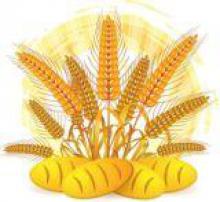 Підведені підсумки роботи агропромислового комплексу   Луганщини за  2013 рік