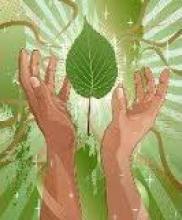 Всеукраїнська акція «За чисте довкілля»: приєднуйтесь