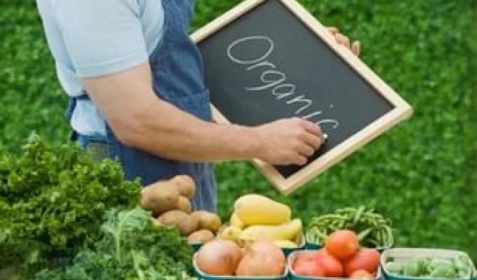 Розвиток органічного виробництва