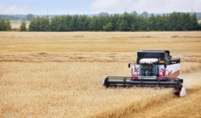 Підведені попередні підсумки в галузі рослинництва у 2018 році