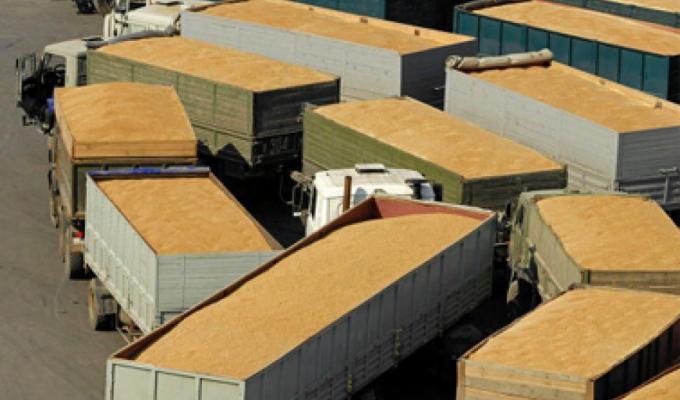 До уваги виробників та перевізників зернових та технічних культур