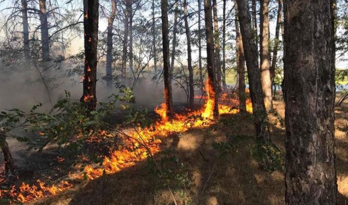 Правила поведінки у пожежонебезпечний період, яких повинні дотримуватись громадяни для запобігання виникненню пожеж