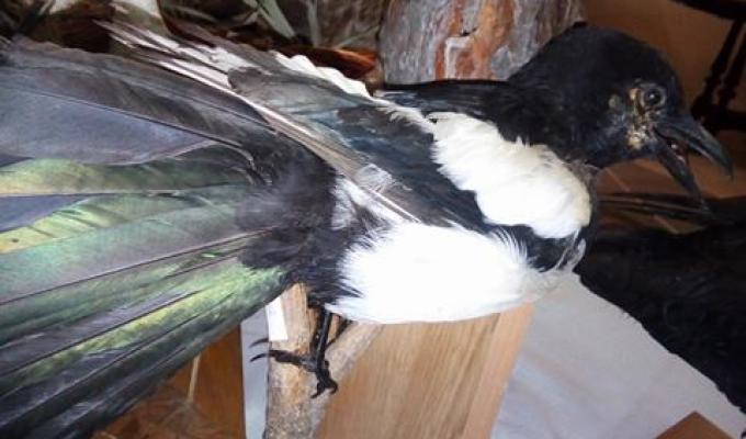 «Ви відпочивали, а ми працюємо!!!»