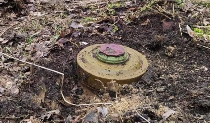 Володимир Зеленський подякував піротехніку з Луганщини, який вже майже півроку розміновує Херсонщину