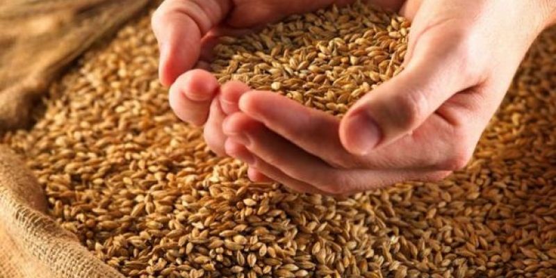 На Луганщині перевірено понад 5 тисяч тонн насіння для посівної кампанії – 2017