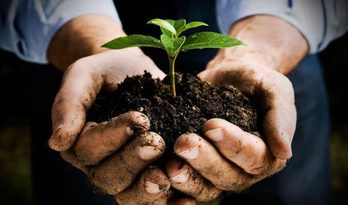 2,7 мільйонів гривень отримають вісім фермерських господарств Луганщини