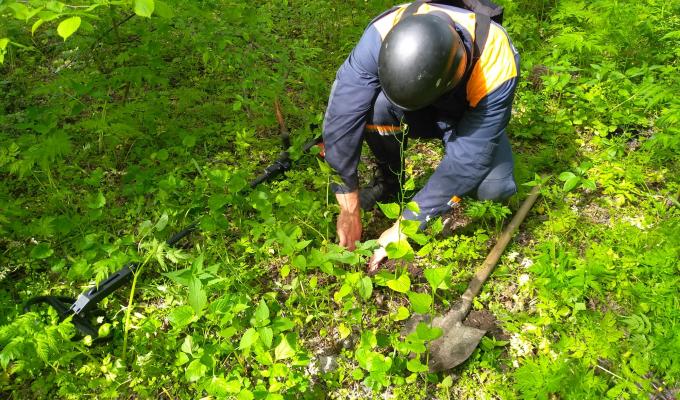 Піротехніки області вилучили 62 вибухонебезпечних предмети