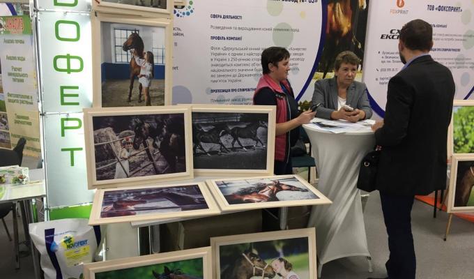 Благодійна акція на підтримку Деркульського кінного заводу відбувається у рамках «Схід-Експо 2017» 