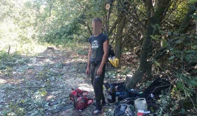 Незаконні лісоруби замість прибутку отримали кримінальну справу