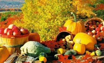 Ринки області продовжують наповнюватися овочами нового врожаю