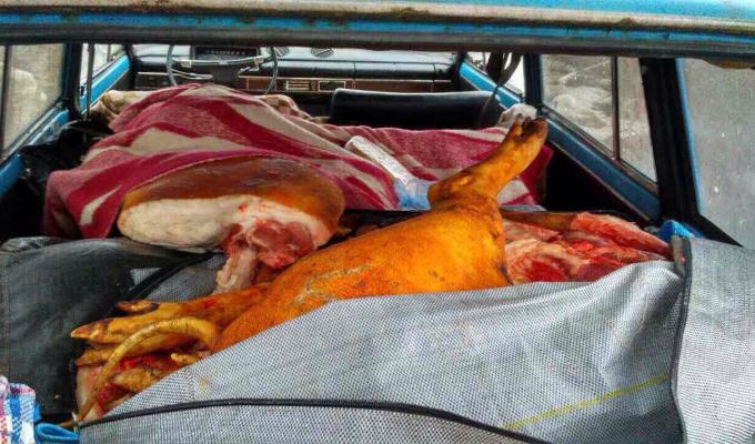 «Фантом» затримав півтонни м’яса